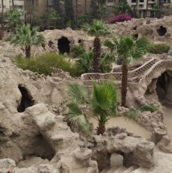 حديقة الأسماك في الزمالك.. 5 أنشطة مميزة في واحدة من أقدم وأجمل فسح القاهرة