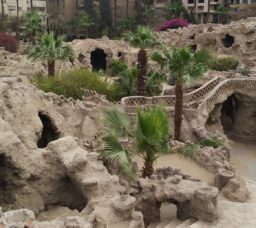 حديقة الأسماك في الزمالك.. 5 أنشطة مميزة في واحدة من أقدم وأجمل فسح القاهرة