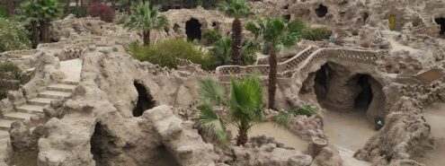 حديقة الأسماك في الزمالك.. 5 أنشطة مميزة في واحدة من أقدم وأجمل فسح القاهرة