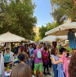 Weekend Guide: Cairo Flea Market, Weekend Wonder at ElMalahy Amusement Park, & More!