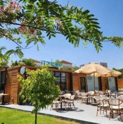 Cloud Nine: Specialty Coffee Cosy Nook In Sheikh Zayed’s Don Hub