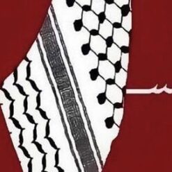 The Palestinian Struggle: This Is How You Can Help