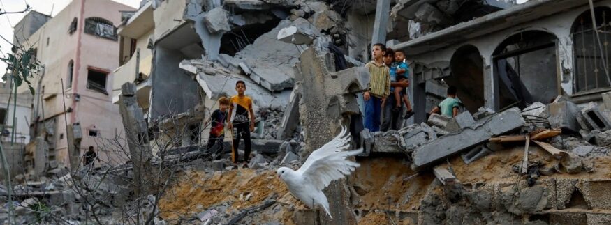 دليلك لدعم غزة عبر مؤسسات مصرية رسمية موثوقة