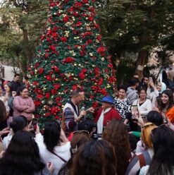 Weekend Guide: Alkemia x CJC 610 Christmas Bazaar, Komedy Koshk & More!