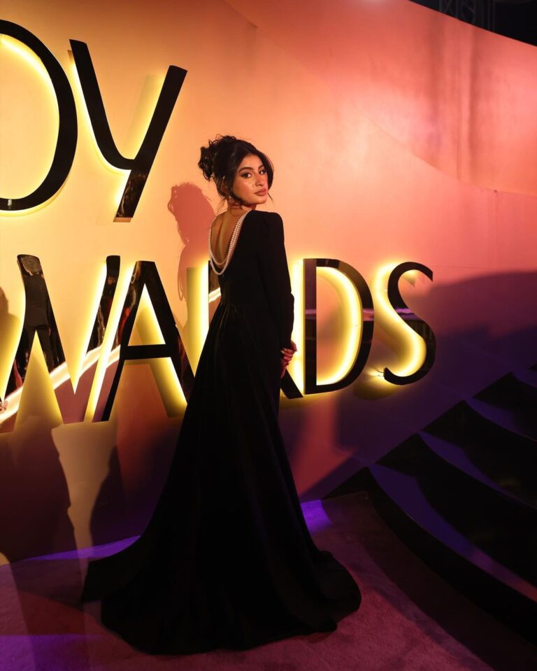 Winners Unveiled: Here are the 2024 Joy Awards Winners – Cairo 360 ...