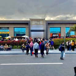 Your Guide to a Day Well Spent at the 55th Cairo International Book Fair