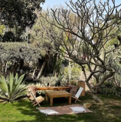 Blossoming Legacy: Mazhar Botanic Garden’s Commitment to Biodiversity & Exceptional Greenery