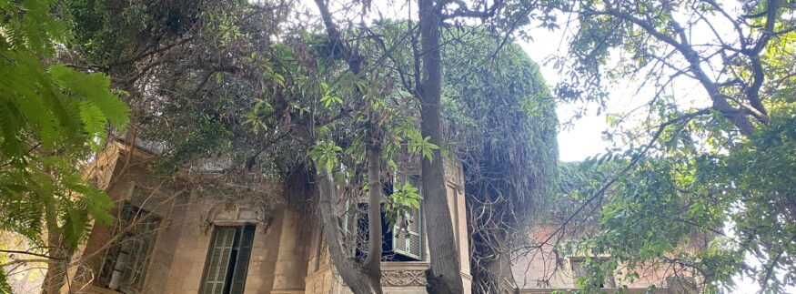 Cairo Guide’s Botanical Walks: Unveiling The Capital’s Greenery