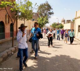 Cairo Guide’s Botanical Walks: Unveiling The Capital’s Greenery