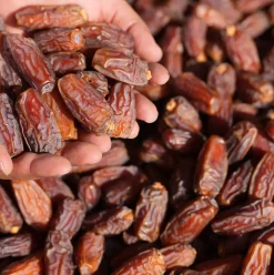 Savouring Ramadan: 6 Egyptian Brands to Get Dates