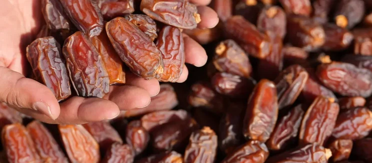 Savouring Ramadan: 6 Egyptian Brands to Get Dates