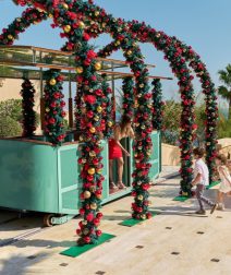 Discover the Magic of the Season at Four Seasons Resort Sharm El Sheikh