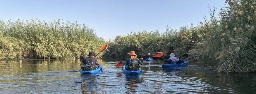 من جزيرة سهيل إلى كوم أمبو بالكياك.. أول خطوة في مغامرة النيل الكبرى