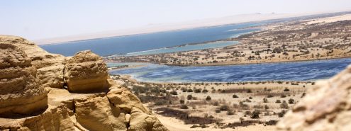 Autumn Weekend Getaway: A Guide to Spending a Weekend in Fayoum