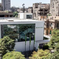 Where to Learn German in Cairo: Top Institutions for Aspiring German Speakers