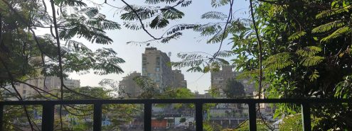 Winter in Zamalek: How to Spend a Relaxing Day in Zamalek