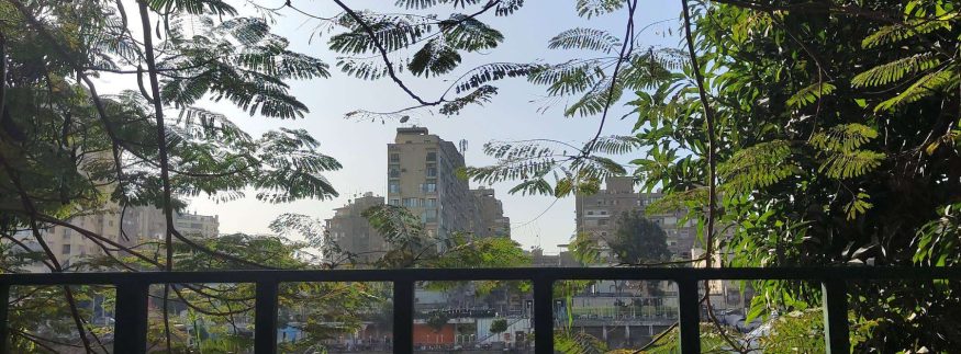 Winter in Zamalek: How to Spend a Relaxing Day in Zamalek