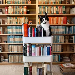 Public Libraries in Cairo: A Guide to Nerdy Havens