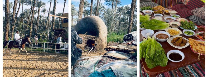 ضحك ولعب وأكل فلاحي.. داي يوز في “ريف السلطان” لكل أفراد العيلة