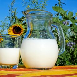 من قلب الطبيعة.. 5 أماكن تشتري منهم منتجات ألبان صحية ومن غير دهون مضرة!