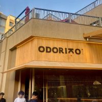 Odoriko: Where Contemporary Japanese Fusion Finds Its Home in Cairo