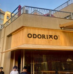 Odoriko: Where Contemporary Japanese Fusion Finds Its Home in Cairo