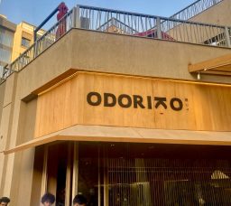 Odoriko: Where Contemporary Japanese Fusion Finds Its Home in Cairo