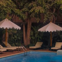 Where Tranquillity Meets Groove: Welcome to Maadi’s Villa Atouta