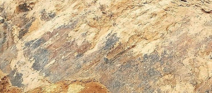 مغامرة في قلب صحراء القاهرة.. محمية 