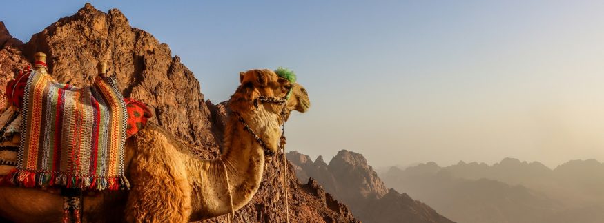 من فوق جبال سيناء: مصر بتبني أكبر مرصد فلكي في الشرق الأوسط