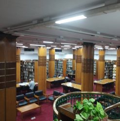 مكتبة القاهرة الكبرى.. كنز ثقافي في قلب الزمالك