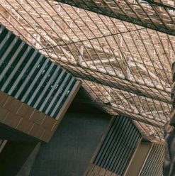 قبل الافتتاح الرسمي.. حاجات لازم تعرفها عن المتحف المصري الكبير