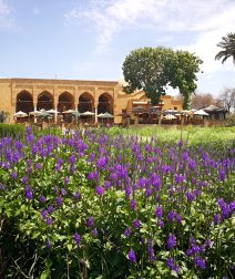 Time to Touch Some Grass: 6 Peaceful Green Parks in Cairo to Unplug