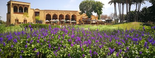 Time to Touch Some Grass: 6 Peaceful Green Parks in Cairo to Unplug