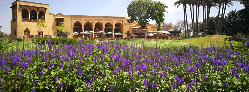 Time to Touch Some Grass: 6 Peaceful Green Parks in Cairo to Unplug