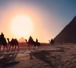 تطوير أهرامات الجيزة: متحف جديد وممشى عالمي ومدخل هيغير تجربتك السياحية!
