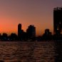 Cairo Nights