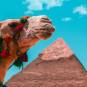 أهرامات الجيزة!