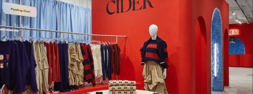 Beyond Shein: 8 Global Fast Fashion Brands That Ship to Egypt