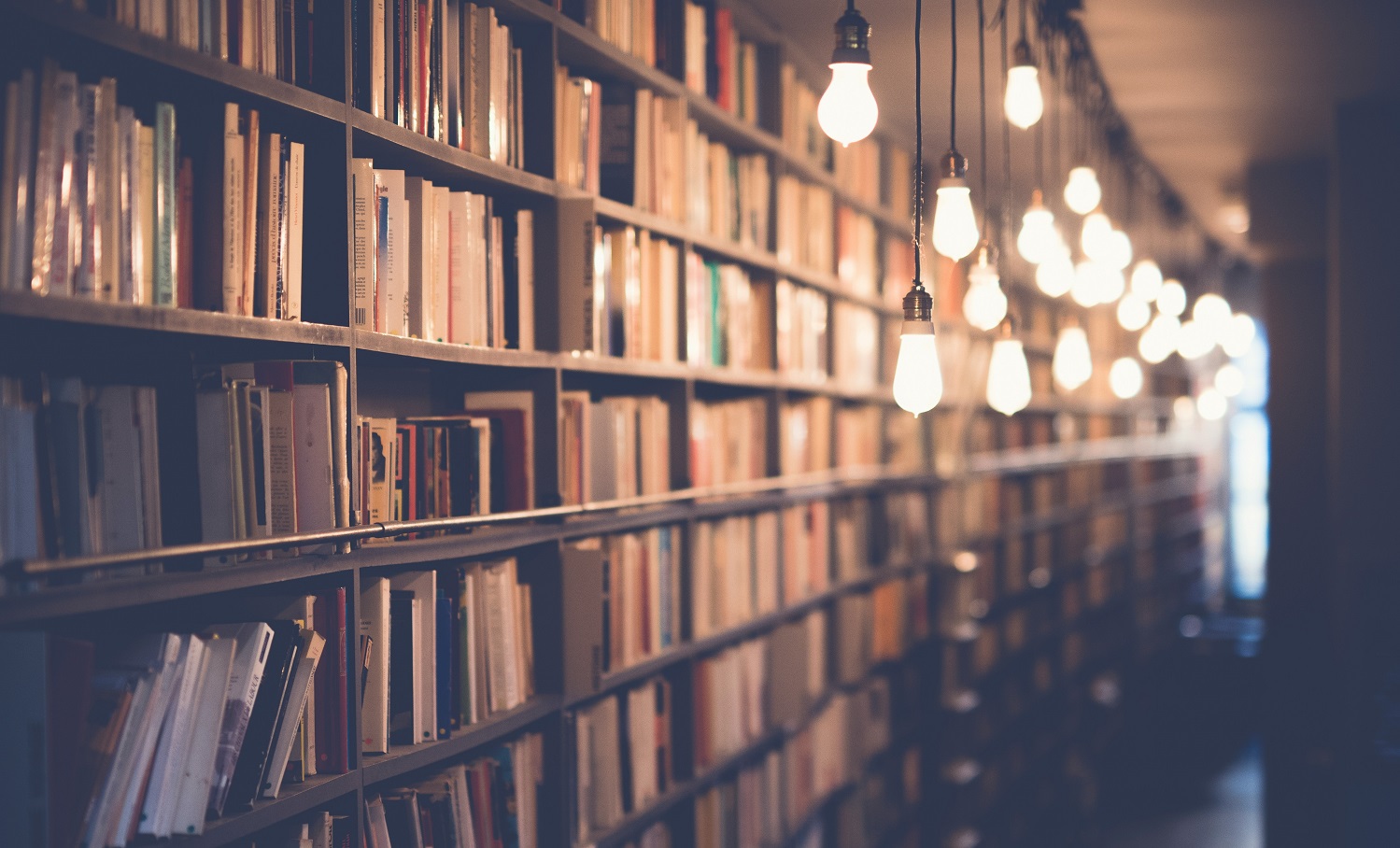5 مكتبات مميزة في أحياء عريقة بالقاهرة.. كتاب حلو ومكان يرد الروح!