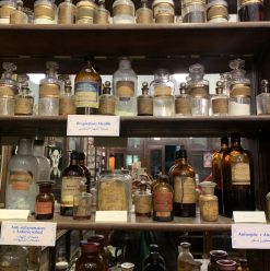 Stephenson's Pharmacy: Cairo's Oldest Chemist Tells a Century-Old Story