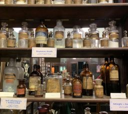 Stephenson's Pharmacy: Cairo's Oldest Chemist Tells a Century-Old Story
