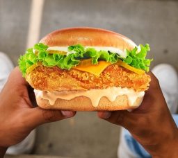 مشهور القاهرة: تجربتنا مع مطعم فرايد تشيكن أردني جديد في الشيخ زايد