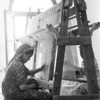 From Harraniya to the World: The Story of Fatma Awad, the Artist Who Wove Joy with Needle and Thread