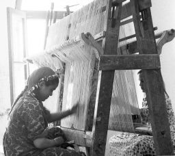 From Harraniya to the World: The Story of Fatma Awad, the Artist Who Wove Joy with Needle and Thread From Harraniya to the World: The Story of Fatma Awad, the Artist Who Wove Joy with Needle and Thread