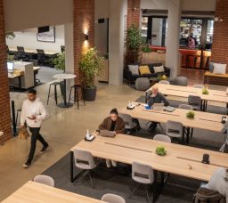 Where to Remotely in Cairo: The Best Spots for Work from Home Jobs in 2025