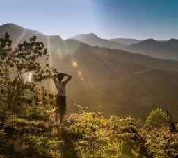 Digital Detox Weekend: Log Off to Tune In