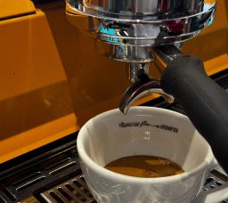 Beyond Turkish & Instant Coffee: Speciality Coffee Around Cairo