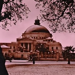 The Faculty of Science in Cairo University: A 100-Year-Old Celebration of Scientific Research