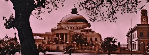 The Faculty of Science in Cairo University: A 100-Year-Old Celebration of Scientific Research The Faculty of Science in Cairo University: A 100-Year-Old Celebration of Scientific Research